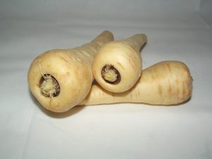 parsnip-20320_640